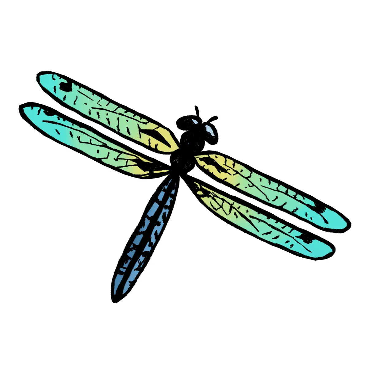 Easy Dragonfly Drawing: (4 Steps)!
