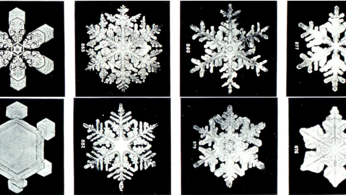 How do snowflakes form? Get the science behind snow
