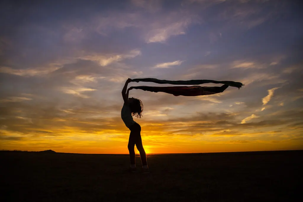 Silhouette photo — image 2