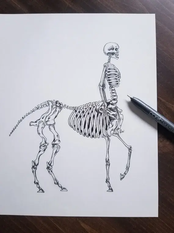 ORIGINAL Centaur Skeleton Drawing Pen and Ink Fantasy Art Wall Decor