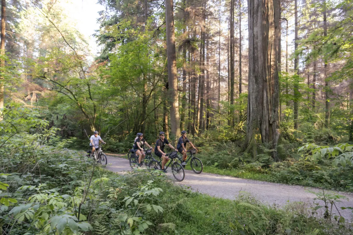 Stanley Park Bike Guided Tour