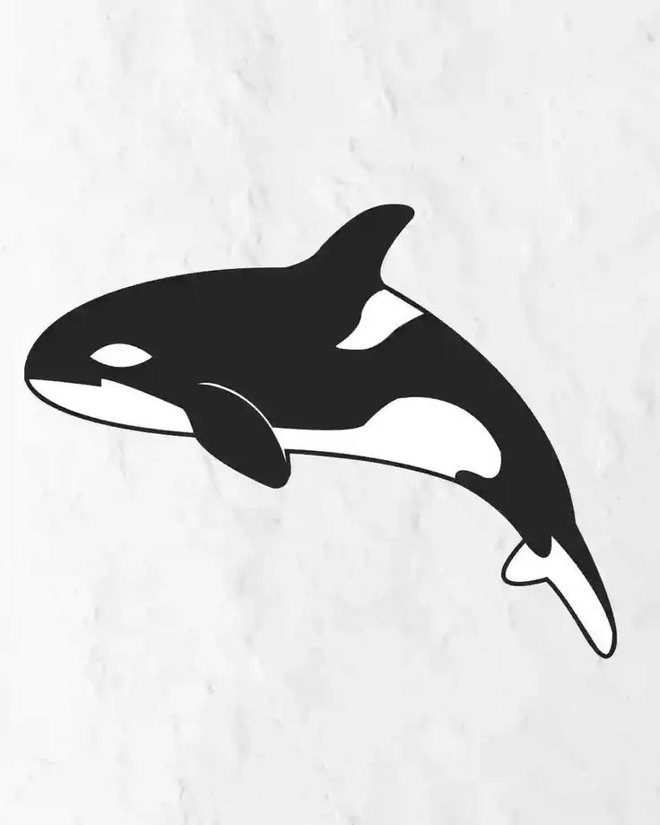 How to Draw Orca Tenth Step