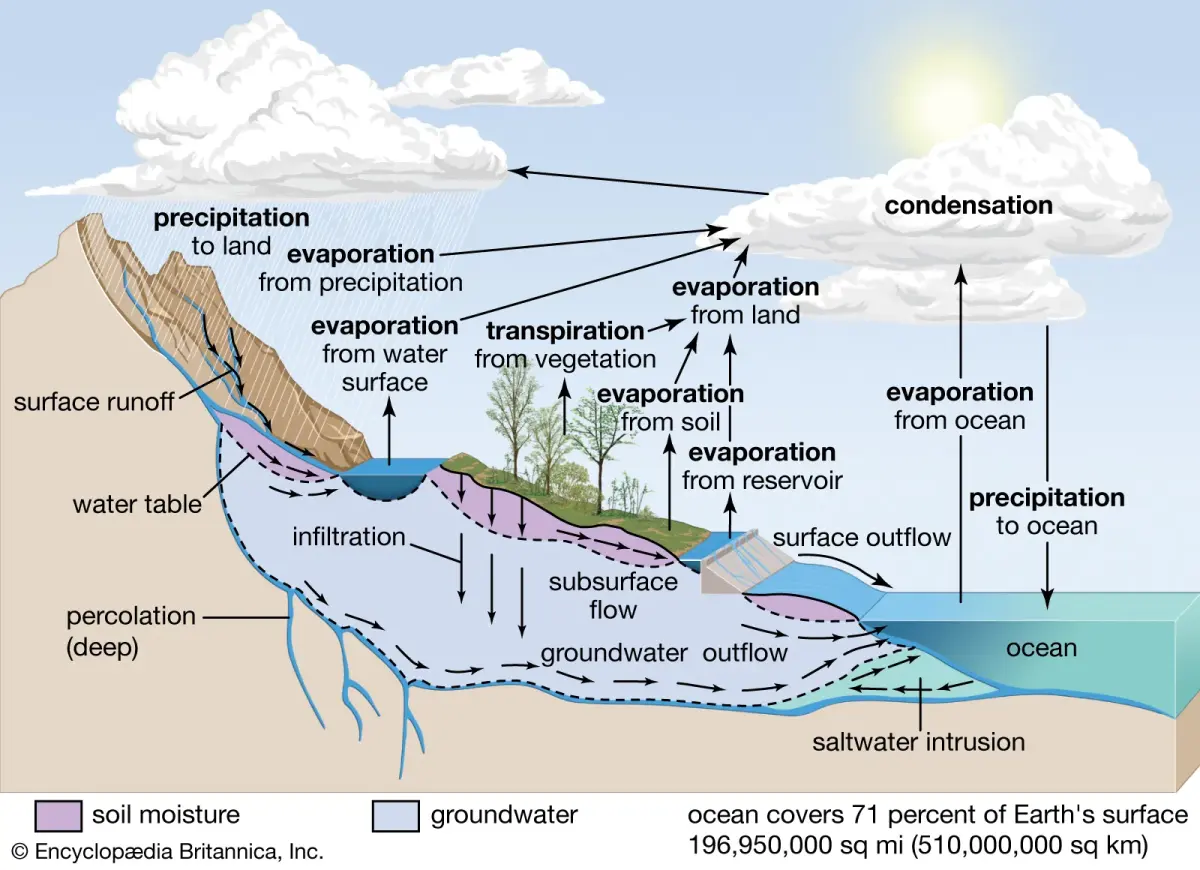 Water cycle
