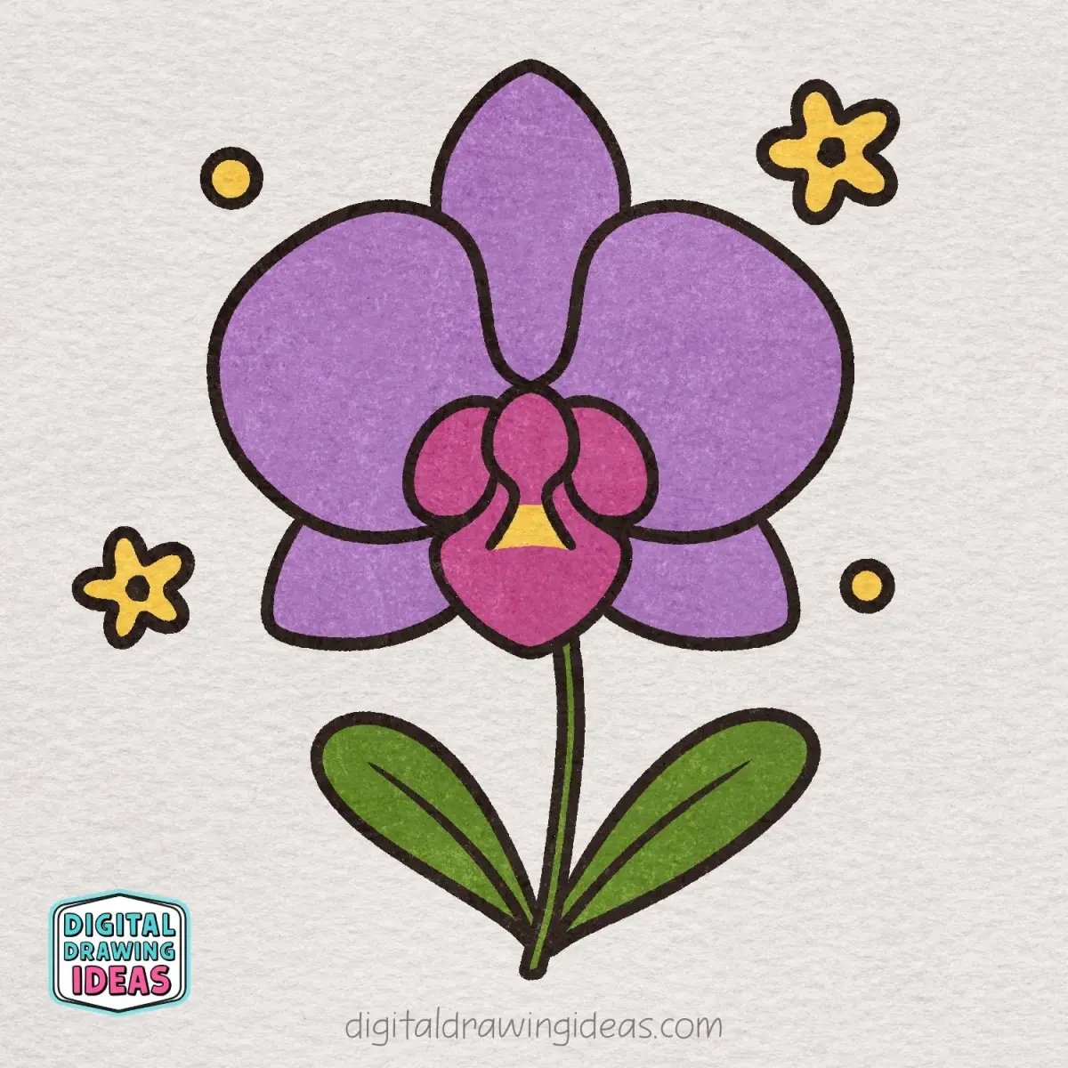 How to Draw an Orchid Flower