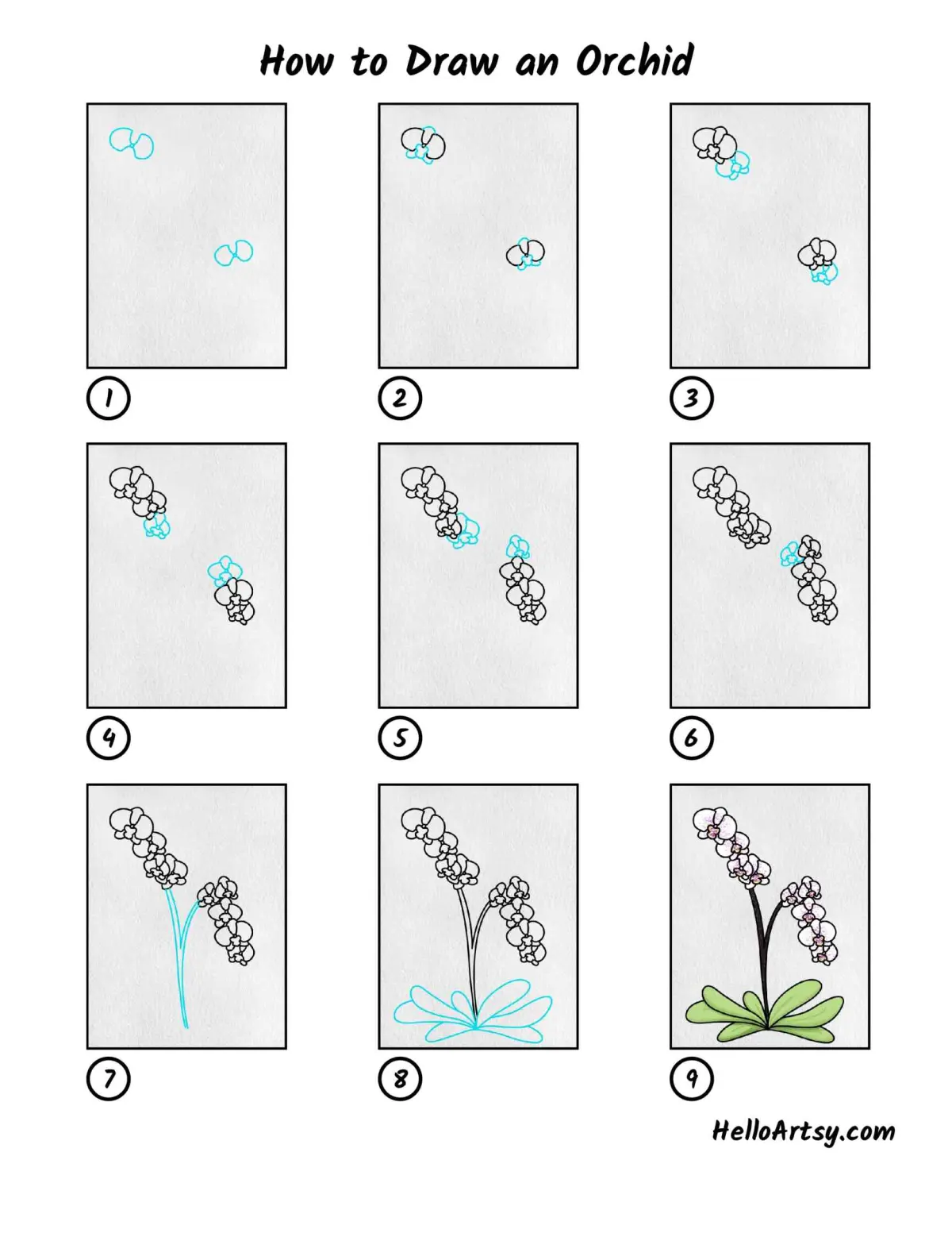 How to Draw an Orchid