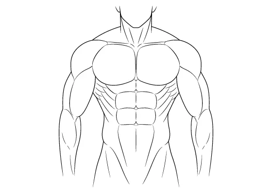 How to Draw Anime Muscular Male Body Step by Step