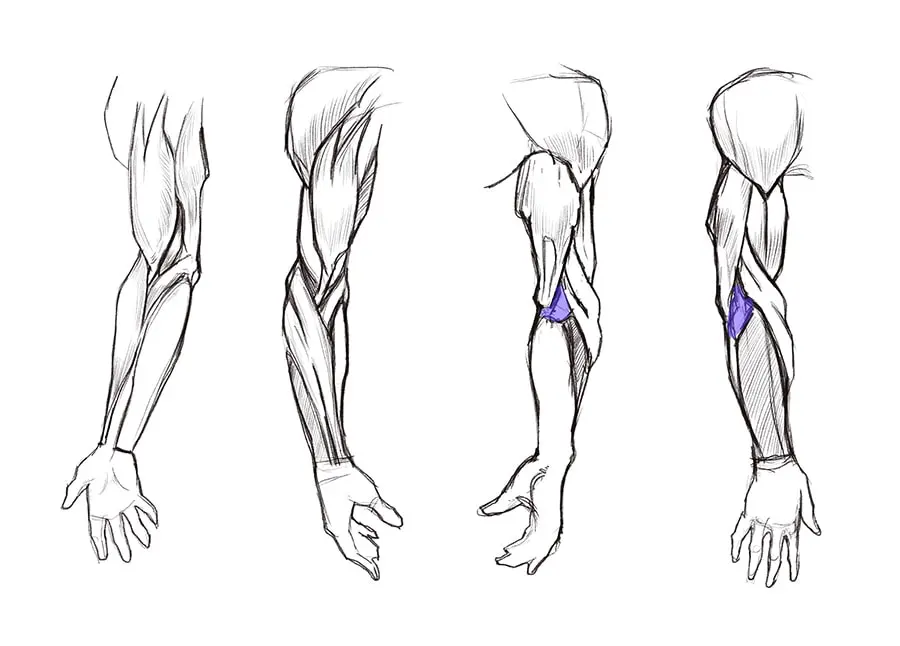 Learn to Draw Arms, Once and for All!