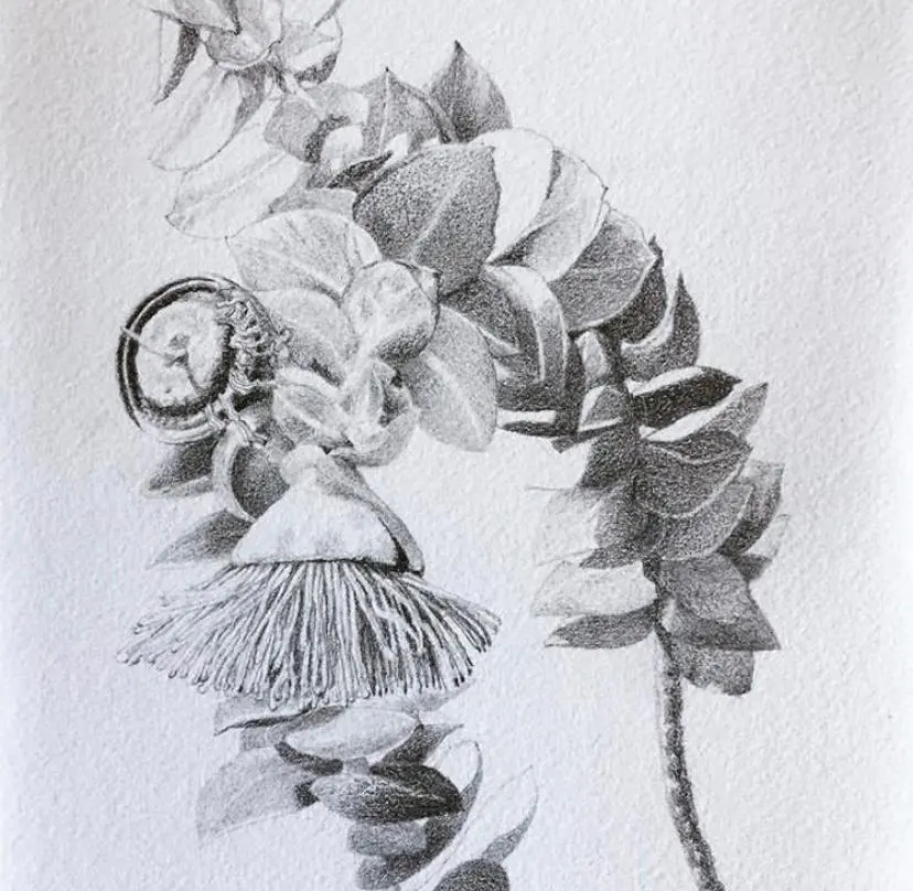Drawing Meditation