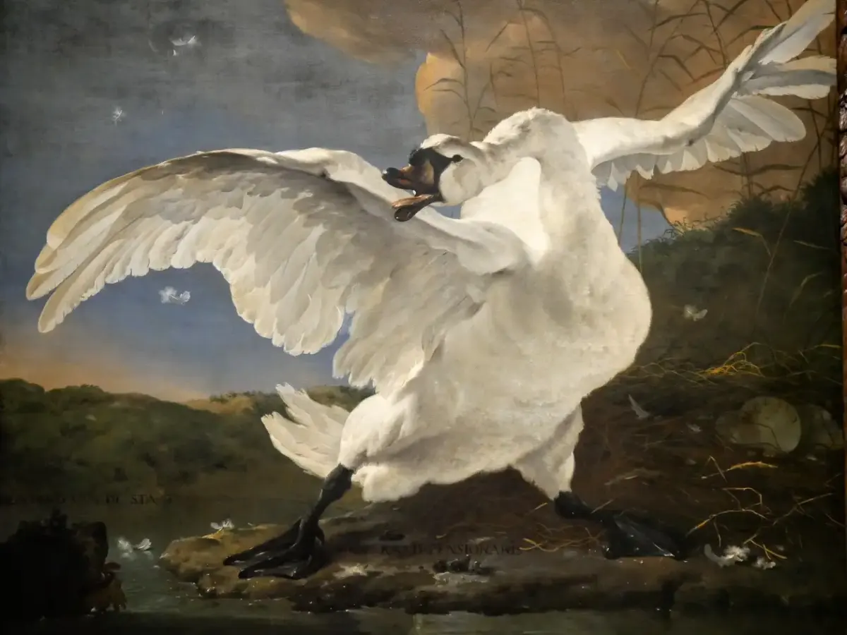 Rijksmuseum highlights: What to see at the Rijksmuseum