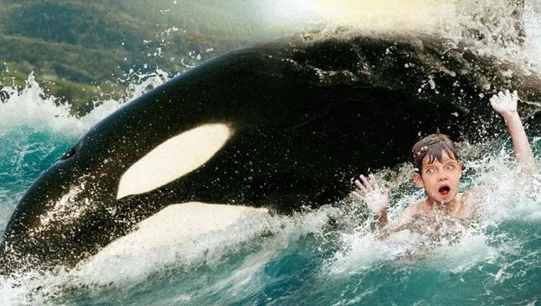 Orcas VS Humans