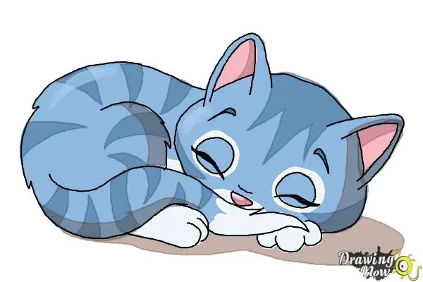 How to Draw a Sleeping Cat