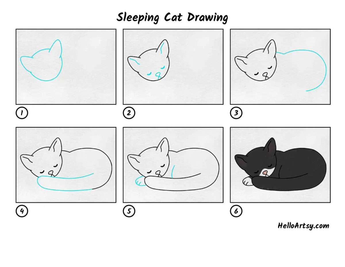 Sleeping Cat Drawing