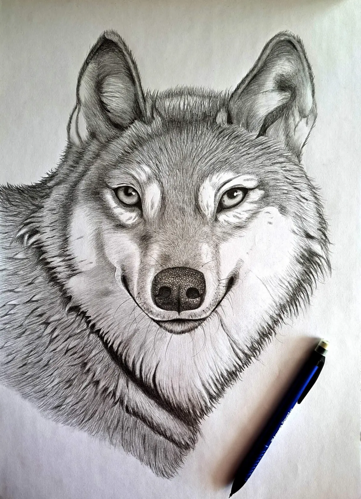 Realistic Wolf Drawing: How to Draw a Wolf Head Easily