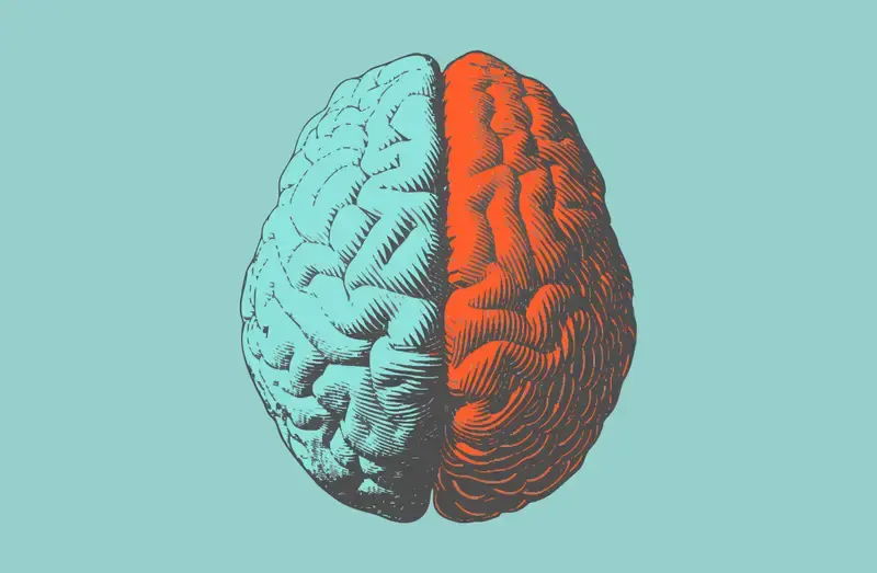 Are Left Handed People More Creative? Science Supports the Possibility