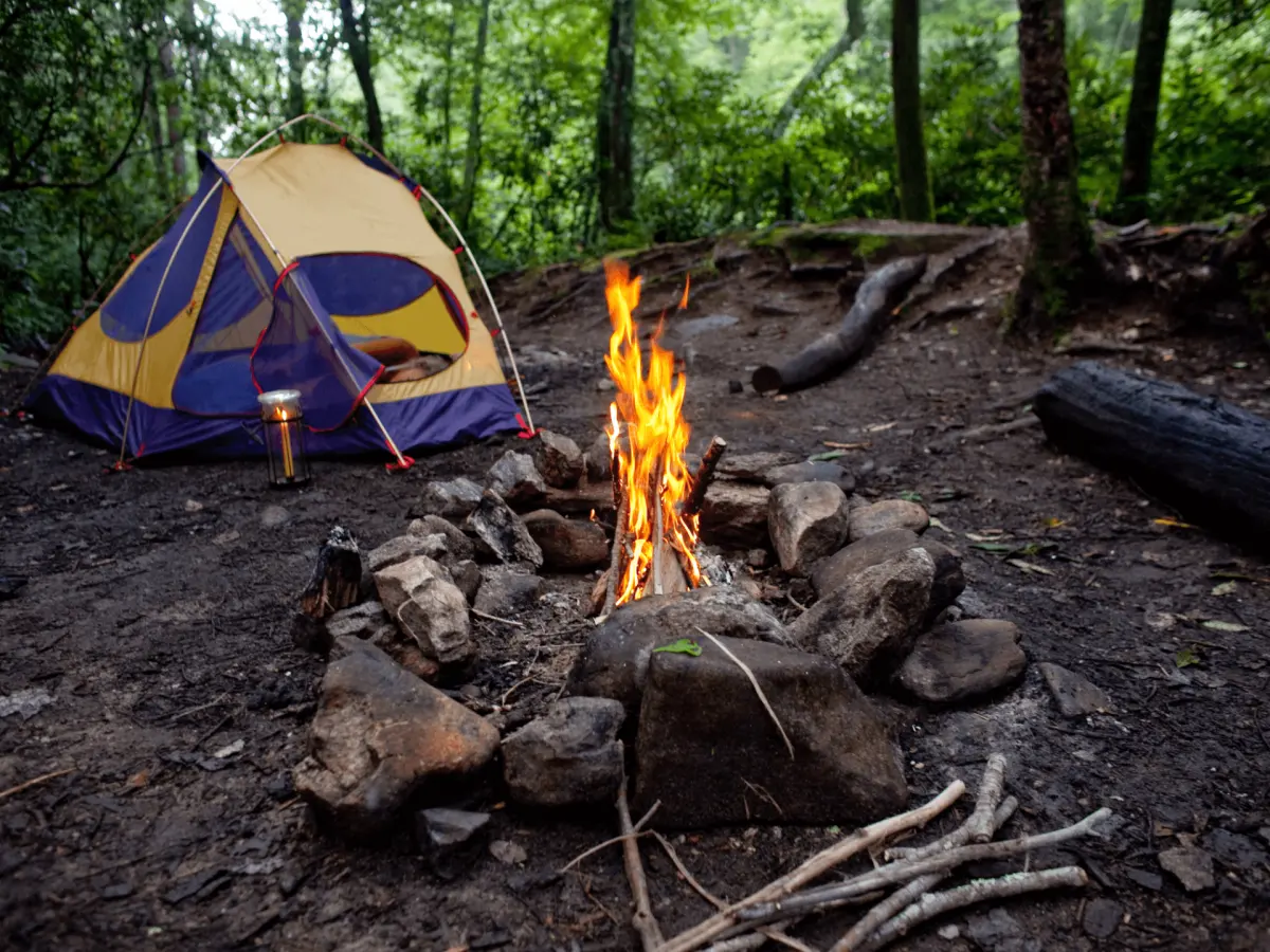 On the Benefits of Camping •