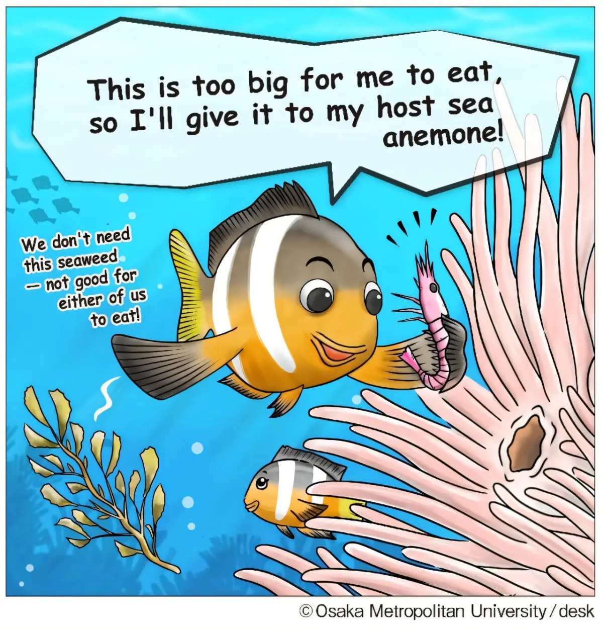 Field experiments show clownfish actively provide food to their anemone partners