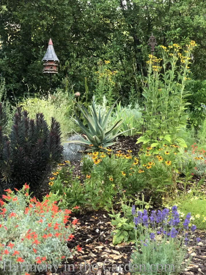 The Best Native Plants for Gardens: My Top 30 Picks