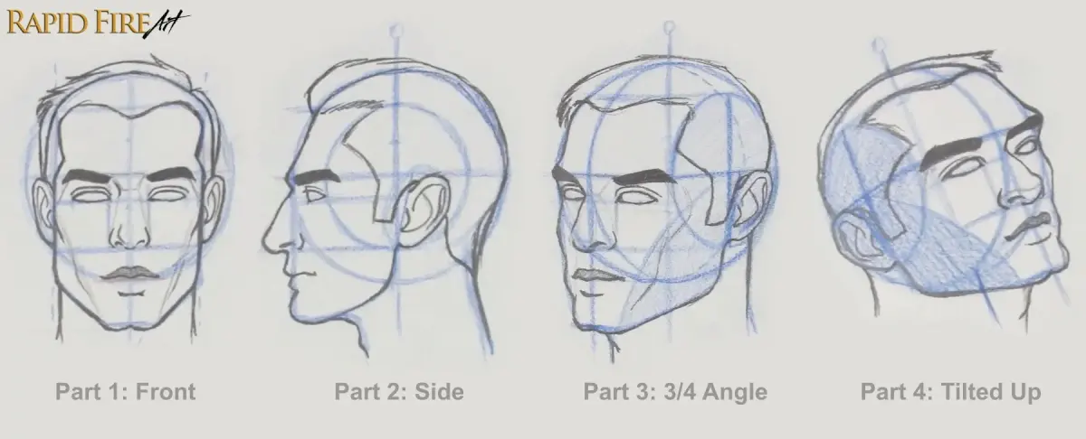 How to Draw a Face from the 3/4 VIEW (Loomis Method)