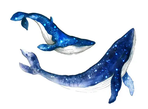 Whale Watercolour