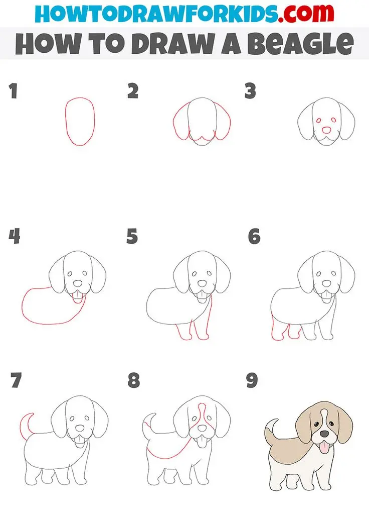 How to Draw a Beagle