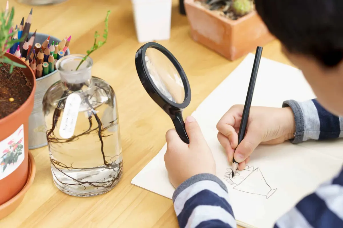 How do you draw from observation