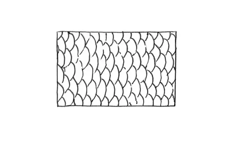 How to Draw Animal Scales