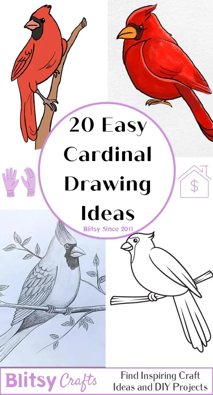 20 Easy Cardinal Drawing Ideas