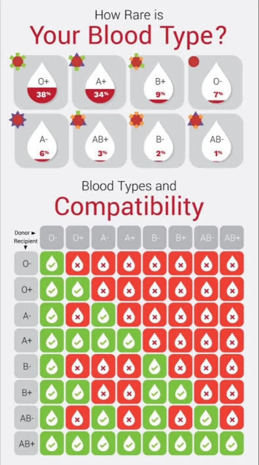 How Rare Is Your Blood Type?
