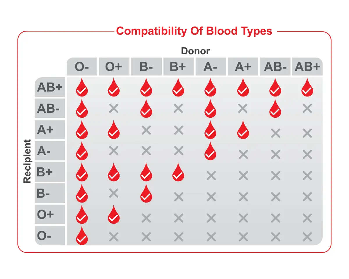 Golden Blood: The Blood Type So Rare Fewer Than 50 People Have It