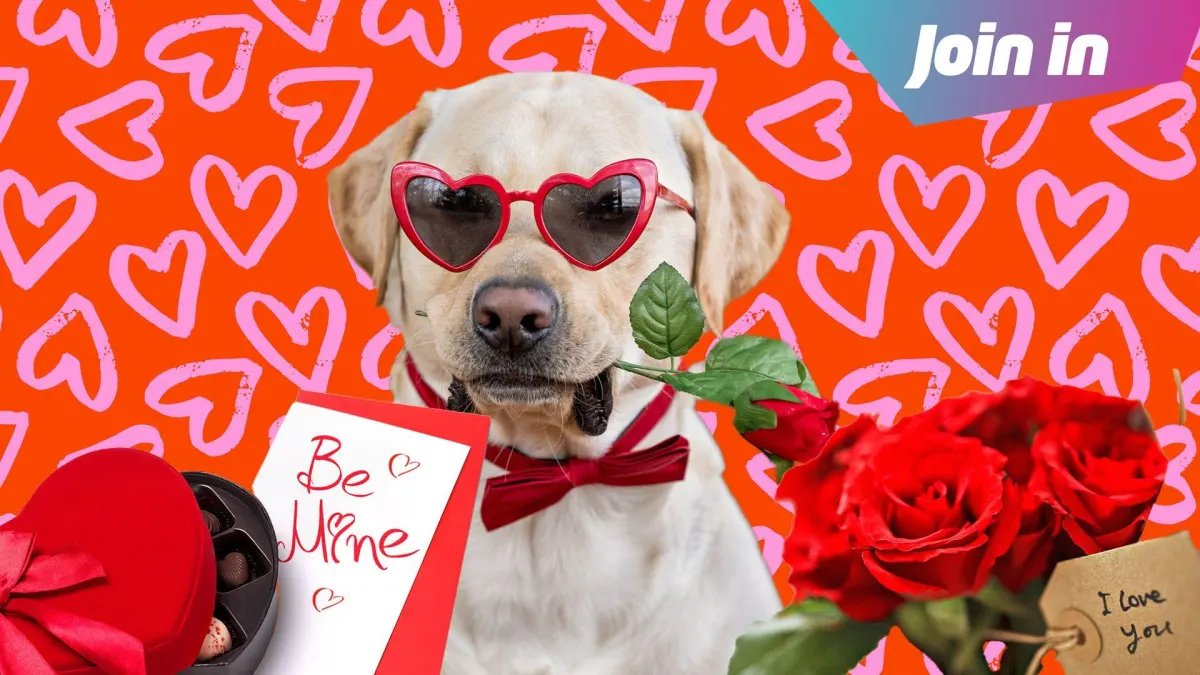 Valentine's Day: Are you sending a card this year?