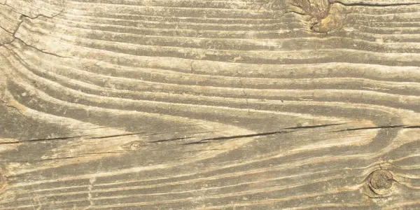 How to Draw Wood Grain