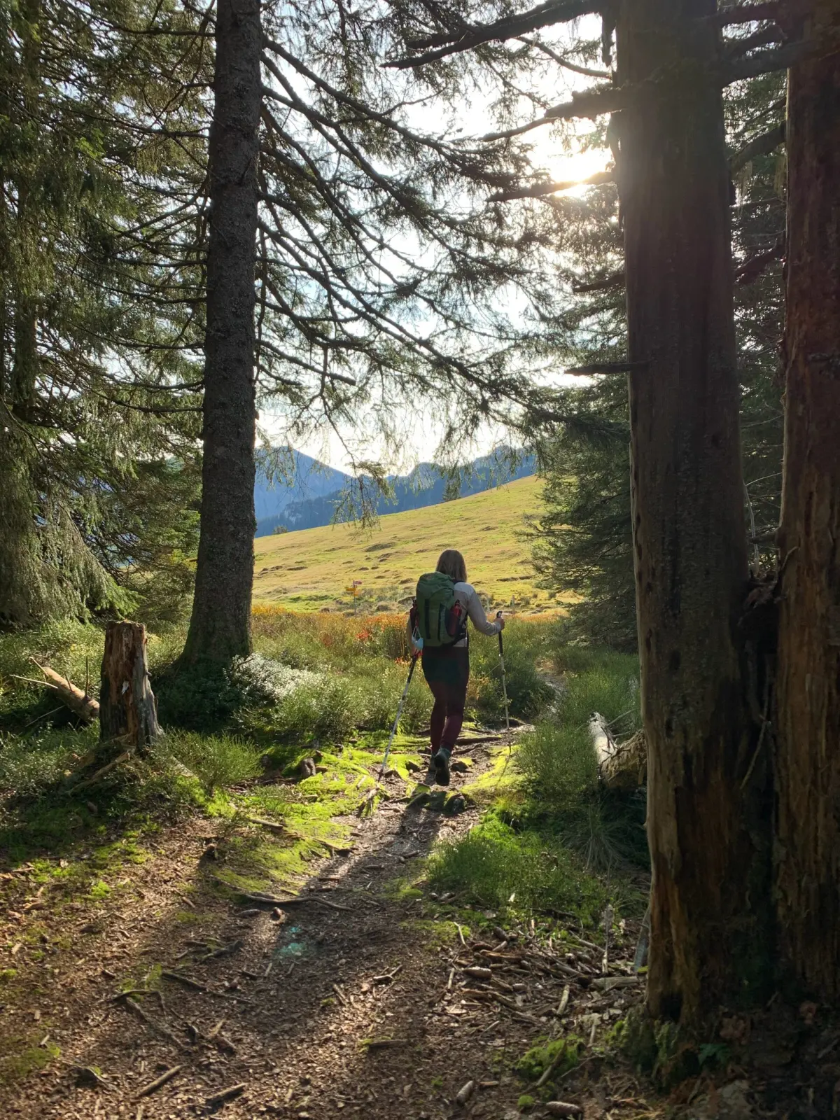 The Top Ten Benefits of Hiking as a Counseling Approach