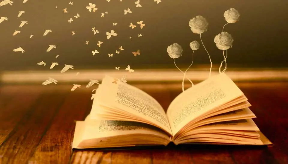 Reading in English: A guide for learners