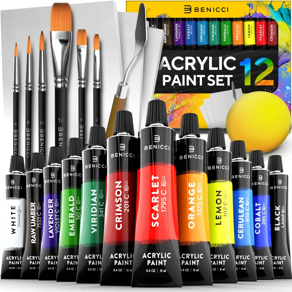 Acrylic Paint Set for Kids, Artists and Adults