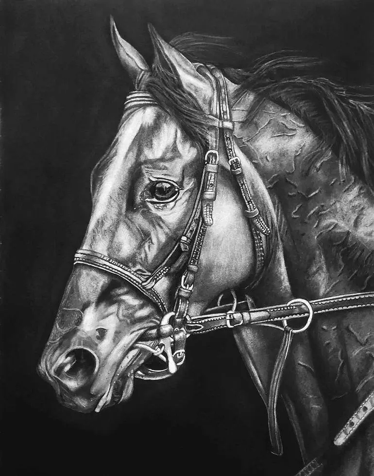 Original Horse Drawings For Sale