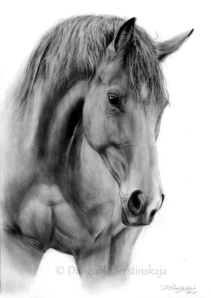 Muscle tension, Neck extension, Head set high, Liquid eye, Perfect of course, Of a beautiful horse. © Caro Nes