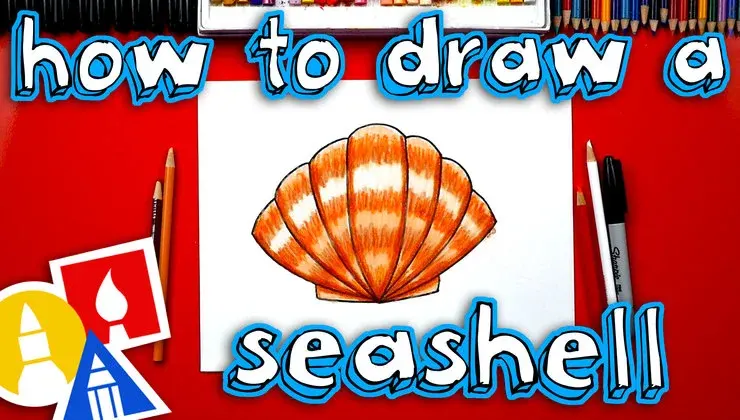 How To Draw A Seashell