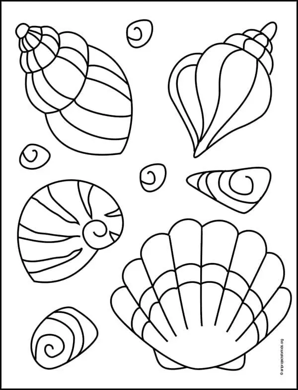 How to Draw a Sea Shell: Easy Step-by-Step Art Lesson for Kids