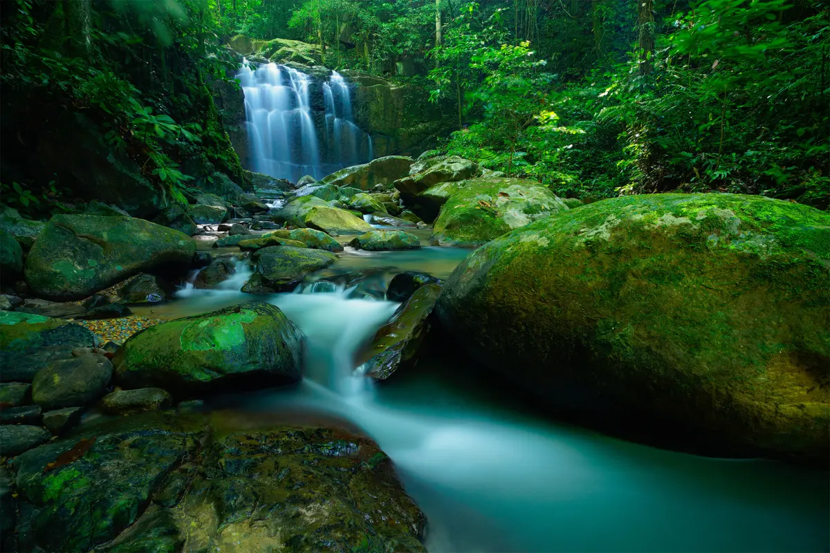 8 Rainforest Ecotourism Trips