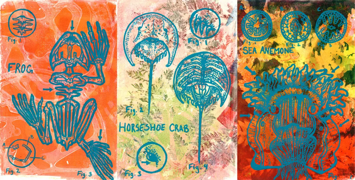 Monoprint — image 3