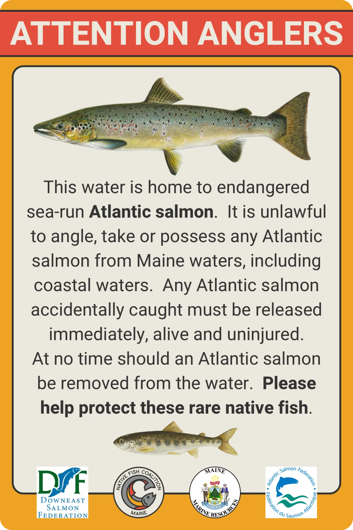 Maine Endangered Atlantic Salmon Sign