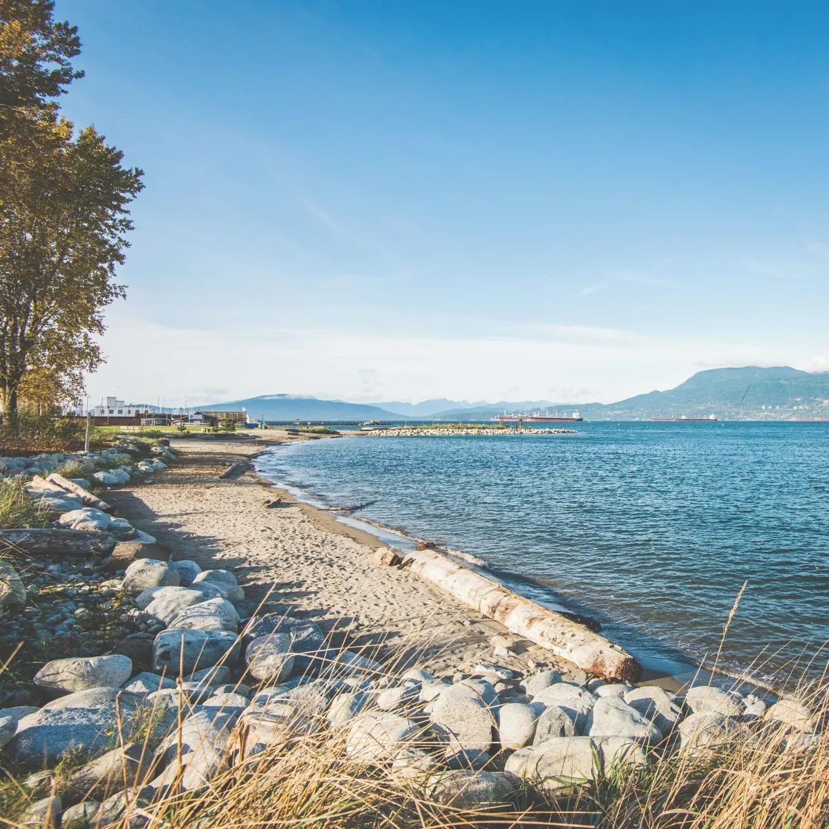 Jericho Beach Tours