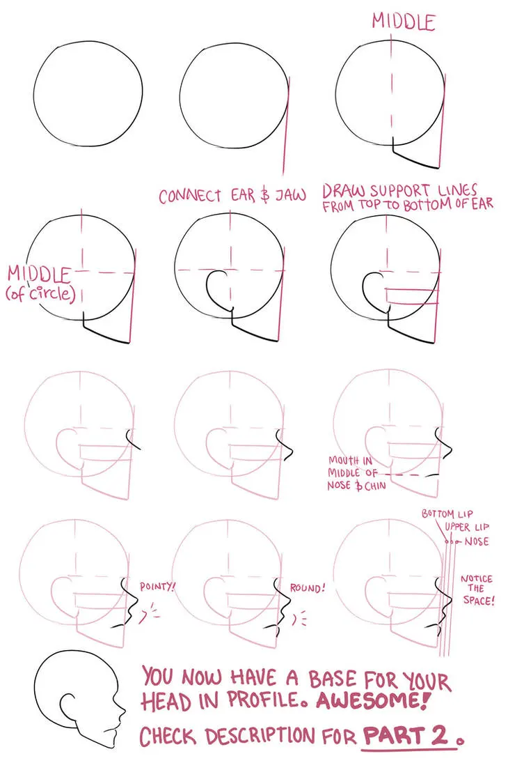 Face profile tutorial part 1 by Lily-Draws on DeviantArt