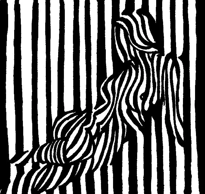 Bridget Riley