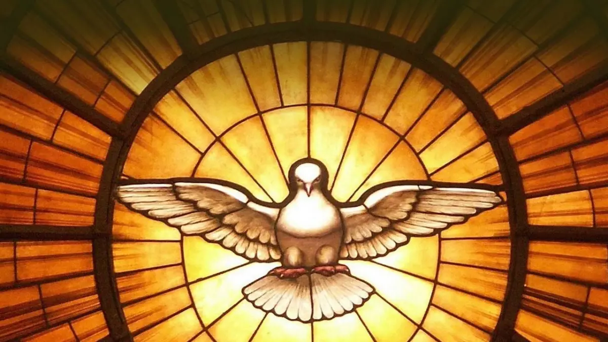 Dove symbolize art — image 2