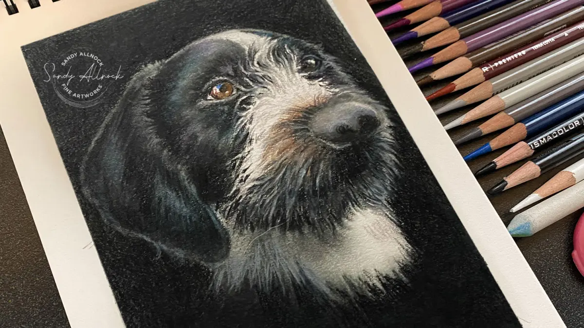 How to draw black fur in colored pencil