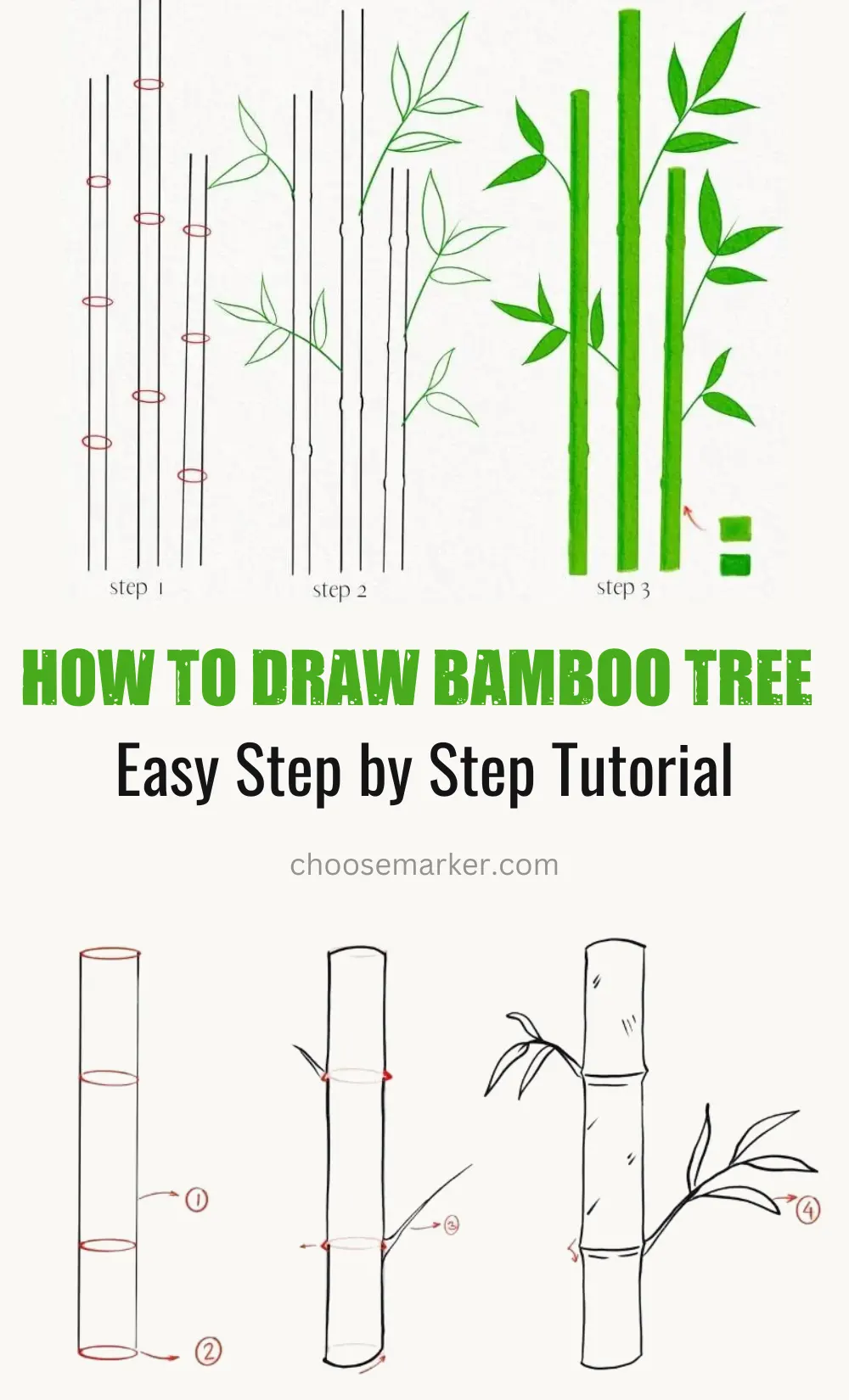 How to Draw Bamboo Tree Easy and Step by Step Tutorial