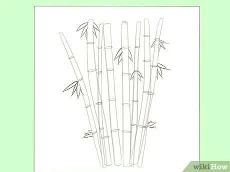 How to Draw Bamboo: 8 Steps (with )