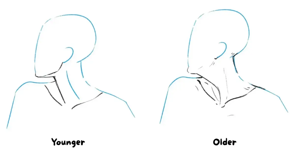 How to Draw a Neck?