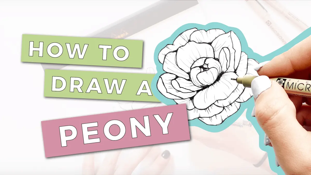 How to Draw a Peony: Step-by-Step Tutorial